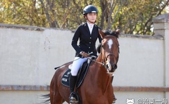 电车蓝衣女快播